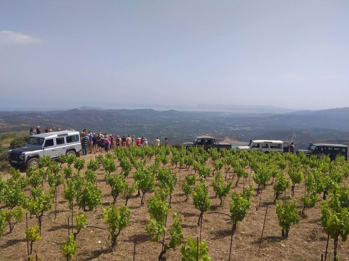 Land Rover Safari — Wines & Olives of Crete