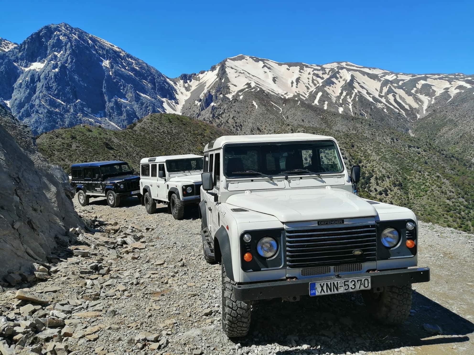 Safari in the White Mountains